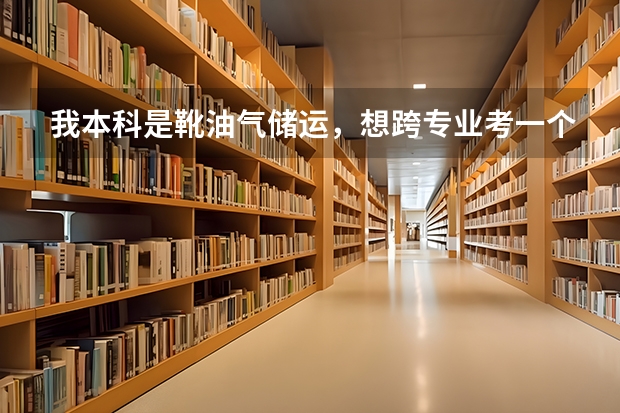 我本科是靴油气储运，想跨专业考一个在职研究生，哪个专业比较好呢