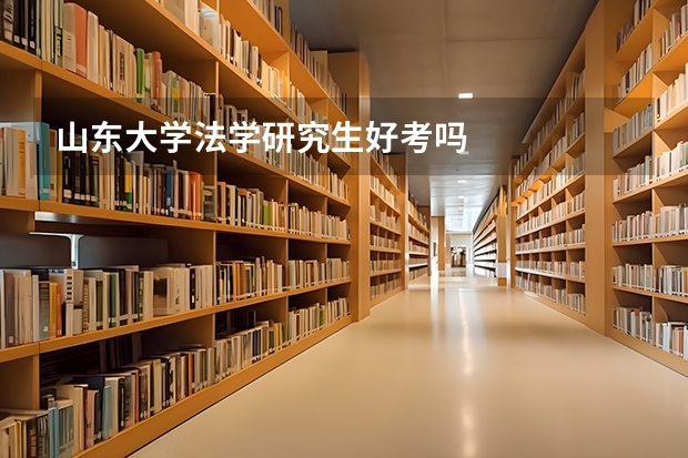 山东大学法学研究生好考吗
