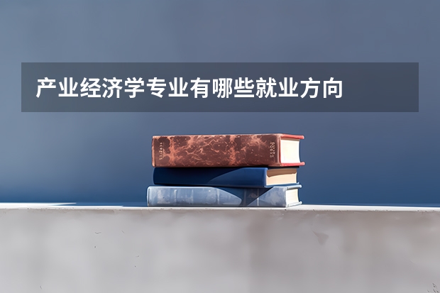产业经济学专业有哪些就业方向
