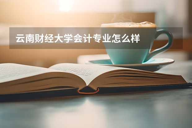 云南财经大学会计专业怎么样