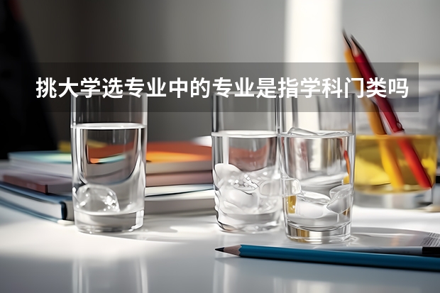 挑大学选专业中的专业是指学科门类吗？