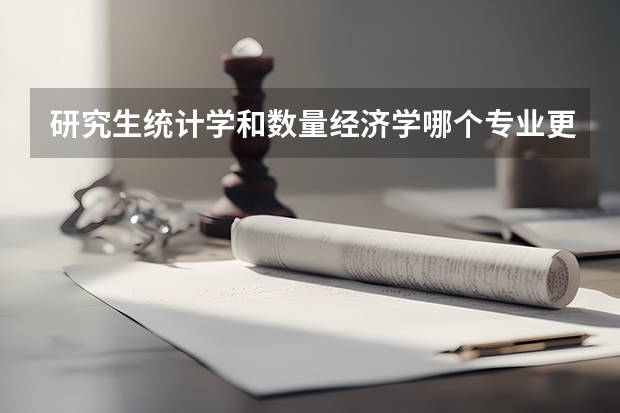 研究生统计学和数量经济学哪个专业更好些（本科学统计）