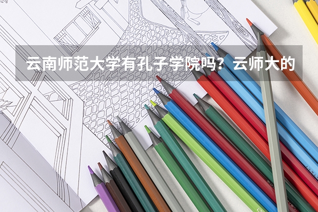 云南师范大学有孔子学院吗?云师大的汉语国际教育硕士对口就业情况怎么样?