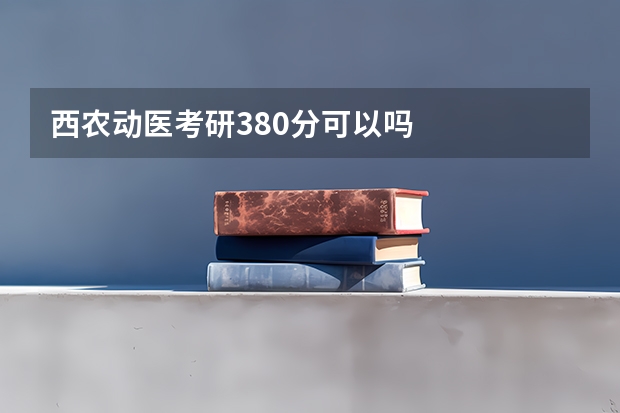 西农动医考研380分可以吗