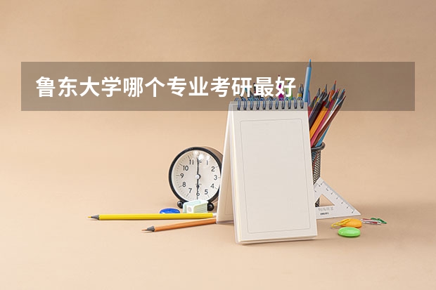 鲁东大学哪个专业考研最好