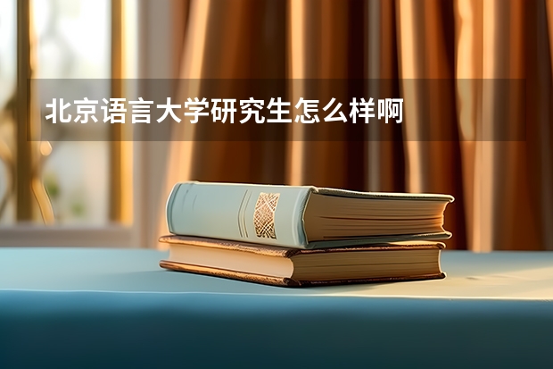 北京语言大学研究生怎么样啊