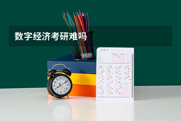 数字经济考研难吗