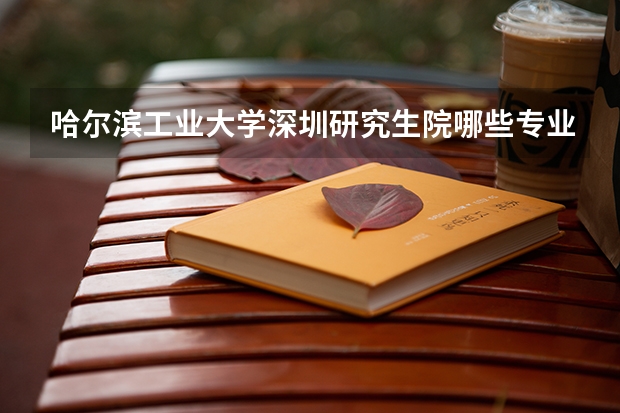 哈尔滨工业大学深圳研究生院哪些专业比较好
