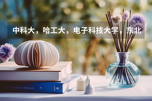 中科大，哈工大，电子科技大学，东北大学 西电 三个大学计算机考研难度是怎样的 哪个学校不歧视三本
