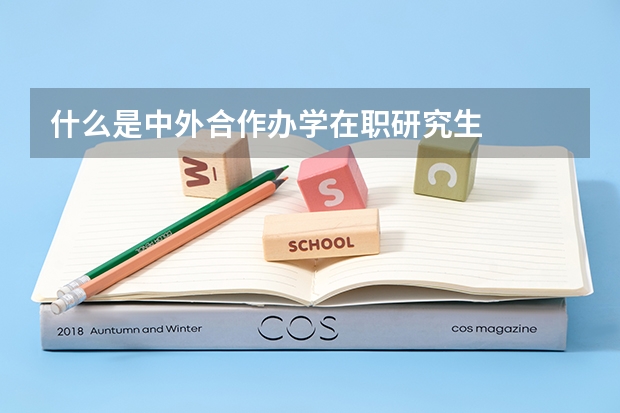 什么是中外合作办学在职研究生